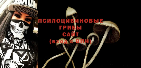 2c-b Кинешма