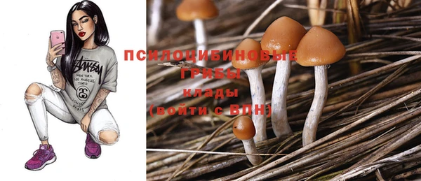 таблы Армянск