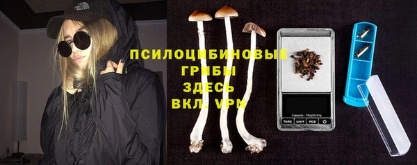 a pvp Арсеньев
