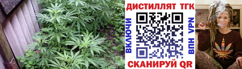 ТГК гашишное масло  Медвежьегорск 