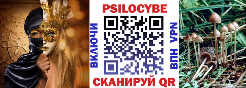 Псилоцибиновые грибы GOLDEN TEACHER кракен Медвежьегорск